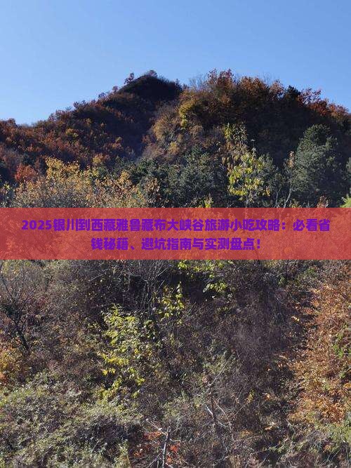 银川到西藏雅鲁藏布大峡谷旅游小吃