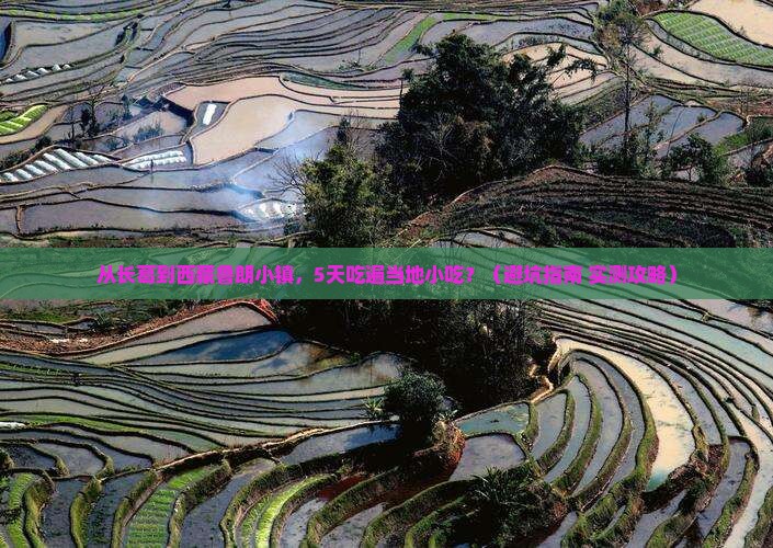 长葛到西藏鲁朗小镇旅游小吃