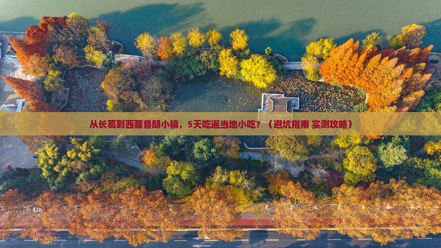 长葛到西藏鲁朗小镇旅游小吃