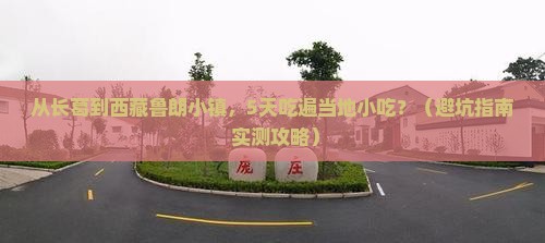 长葛到西藏鲁朗小镇旅游小吃