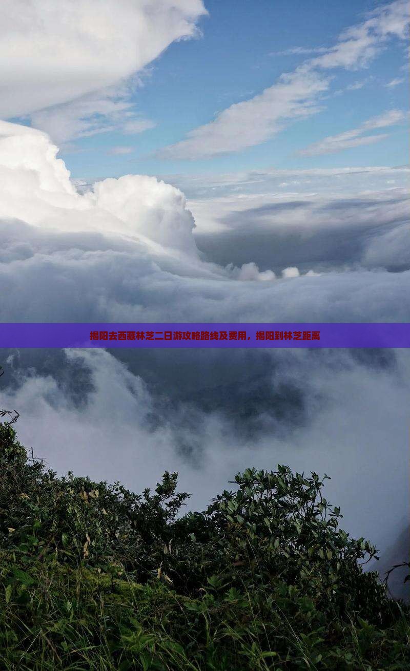 揭阳去西藏林芝二日游