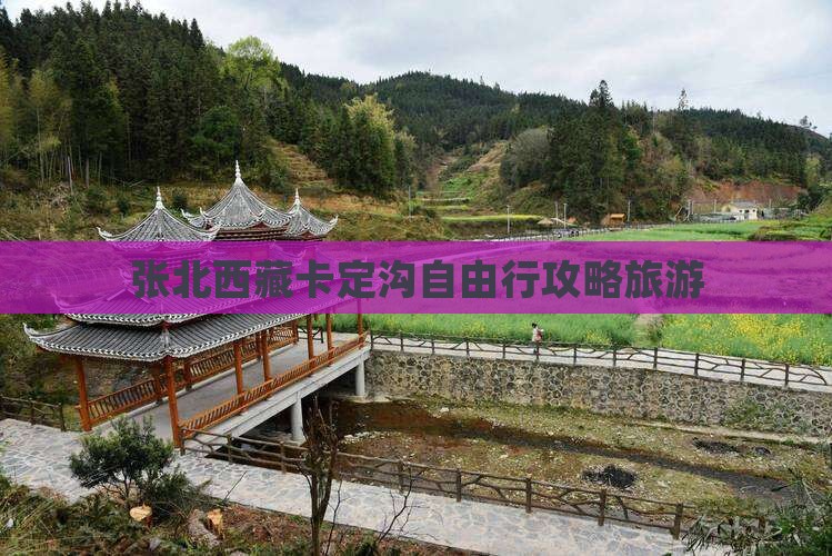 张北去西藏卡定沟自由行