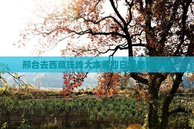 邢台去西藏珠峰大本营四日游