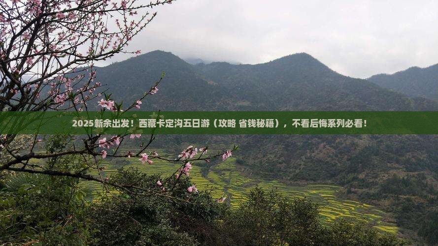 新余到西藏卡定沟五日游