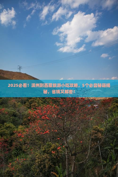 滨州到西藏旅游小吃