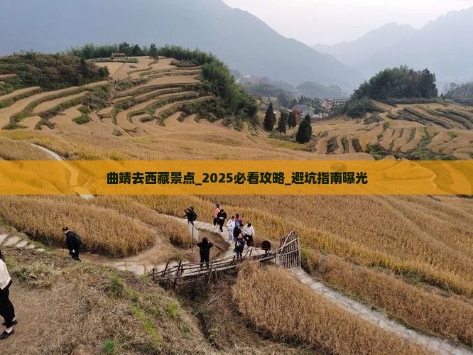 曲靖去西藏景点