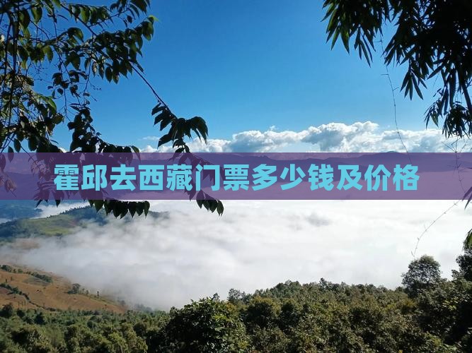 霍邱去西藏门票