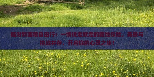 临汾到西藏自由行