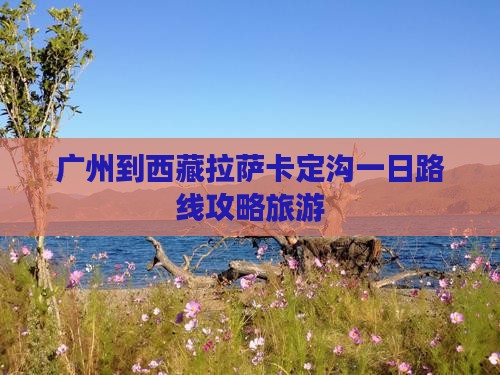 广州到西藏卡定沟一日
