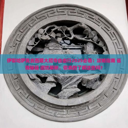 伊犁哈萨克去西藏大昭寺自由行
