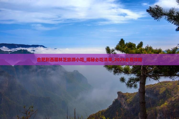 合肥到西藏林芝旅游小吃