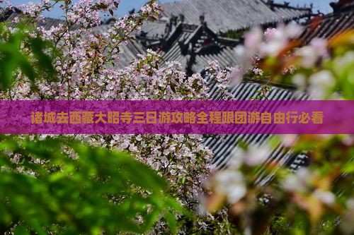 诸城去西藏大昭寺三日游