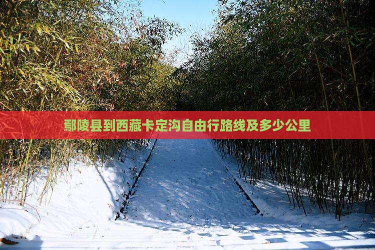 鄢陵县到西藏卡定沟自由行