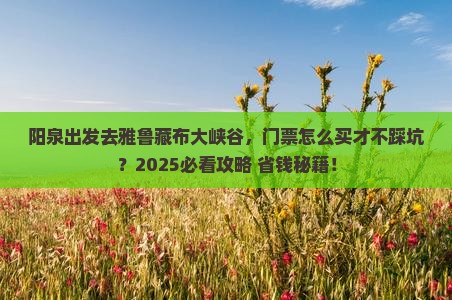 阳泉到西藏雅鲁藏布大峡谷门票