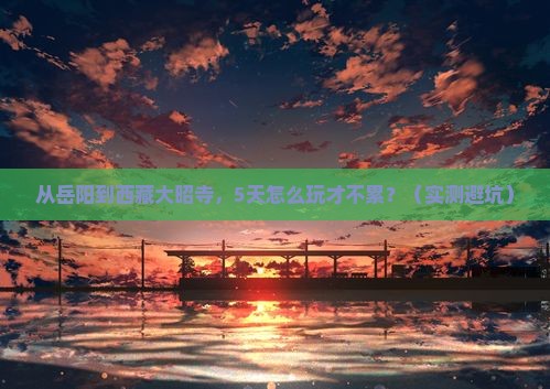 岳阳到西藏大昭寺旅行社