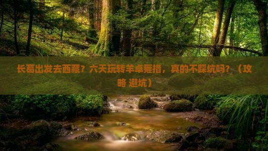 长葛到西藏羊卓雍措六日游