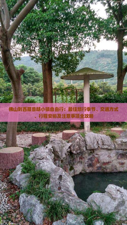 佛山到西藏鲁朗小镇自由行