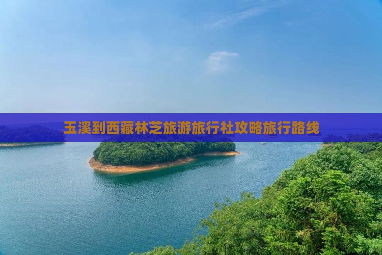 玉溪去西藏林芝旅行社