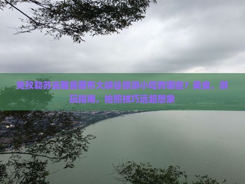 克孜勒苏去西藏雅鲁藏布大峡谷旅游小吃