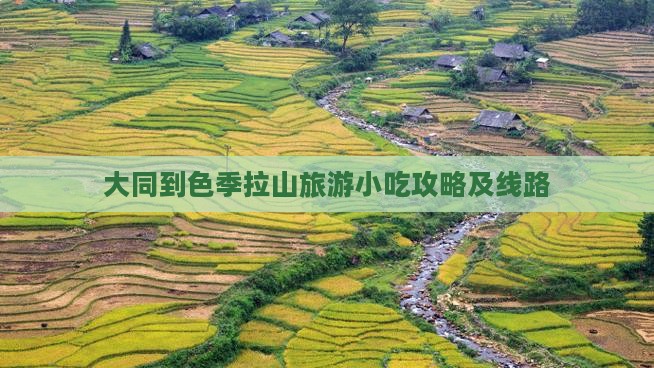 大同到西藏色季拉山旅游小吃
