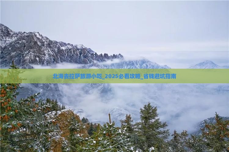 北海去西藏拉萨旅游小吃