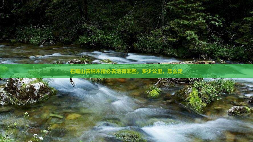 石嘴山去西藏纳木措必去地