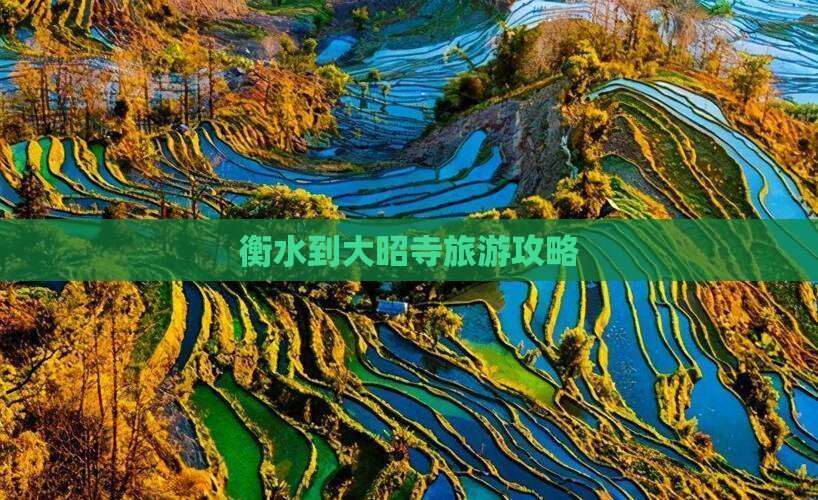 衡水到西藏大昭寺哪里玩