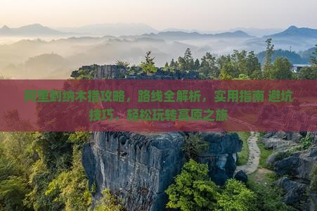 阿里到西藏纳木措攻略