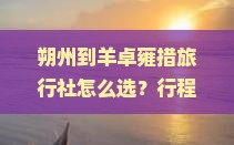 朔州到西藏羊卓雍措旅行社