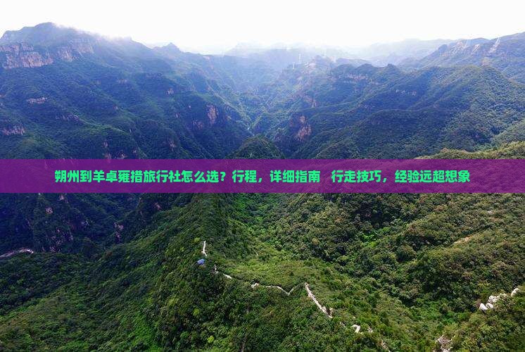 朔州到西藏羊卓雍措旅行社