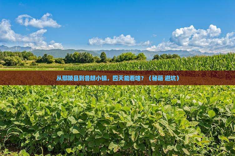 鄢陵县到西藏鲁朗小镇四日游