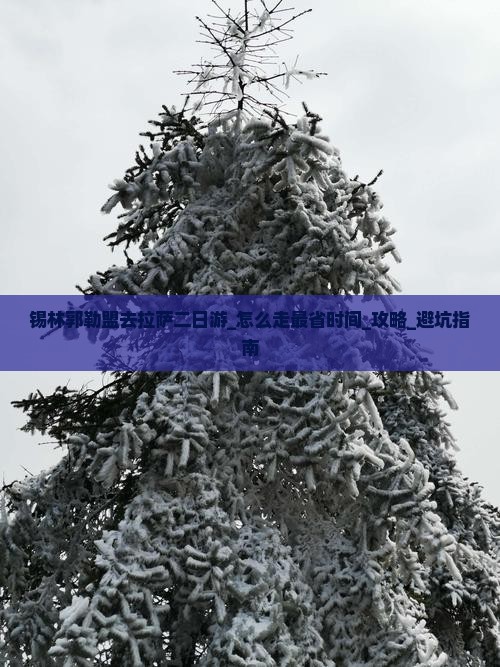 锡林郭勒盟去西藏拉萨二日游