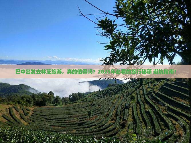 巴中去西藏林芝旅游