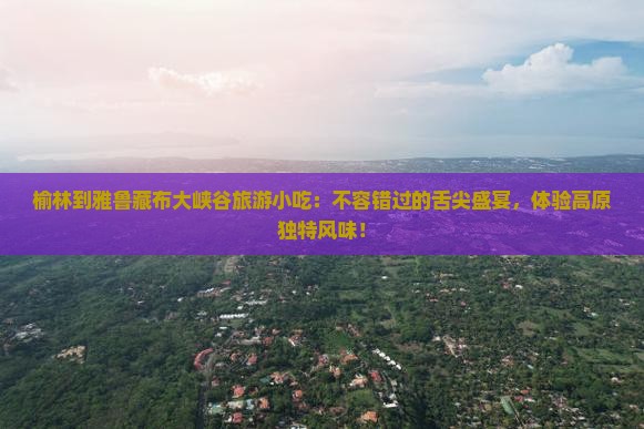 榆林到西藏雅鲁藏布大峡谷旅游小吃