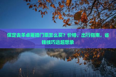 保定去西藏羊卓雍措门票
