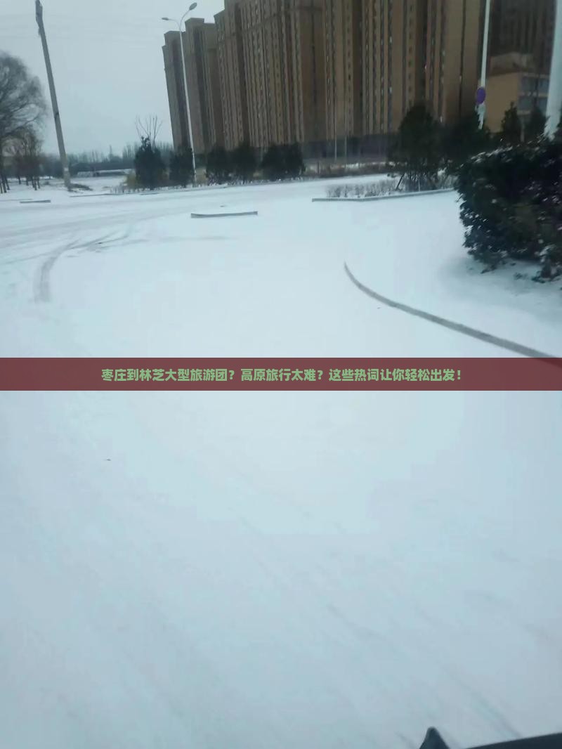 枣庄到西藏林芝大型旅游团