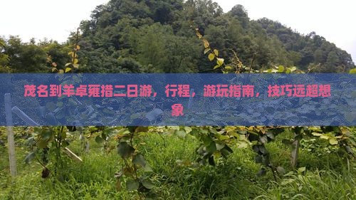 茂名到西藏羊卓雍措二日游
