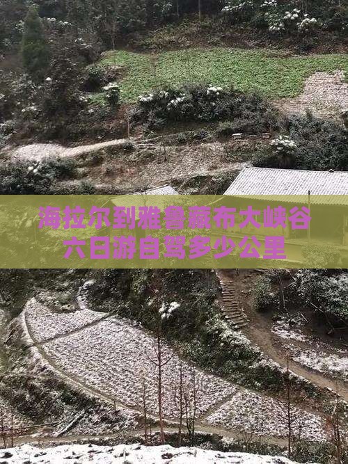 海拉尔到西藏雅鲁藏布大峡谷六日游
