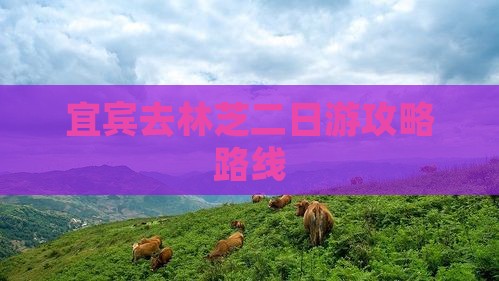 宜宾去西藏林芝二日游