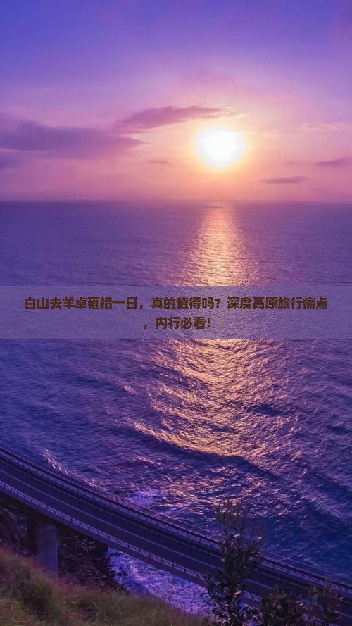白山去西藏羊卓雍措一日