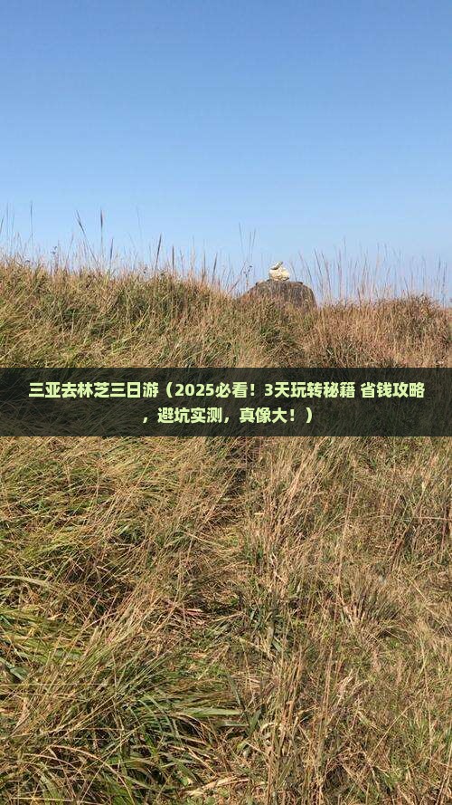 三亚去西藏林芝三日游