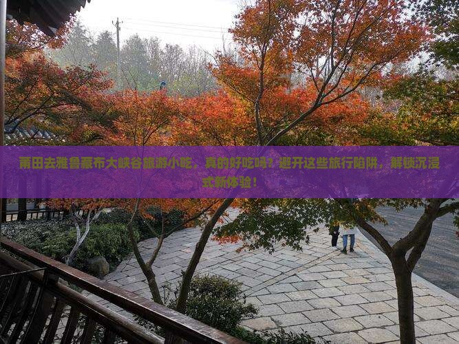 莆田去西藏雅鲁藏布大峡谷旅游小吃