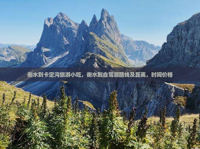 衡水到西藏卡定沟旅游小吃