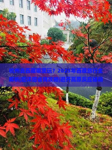 杭州去西藏哪里玩