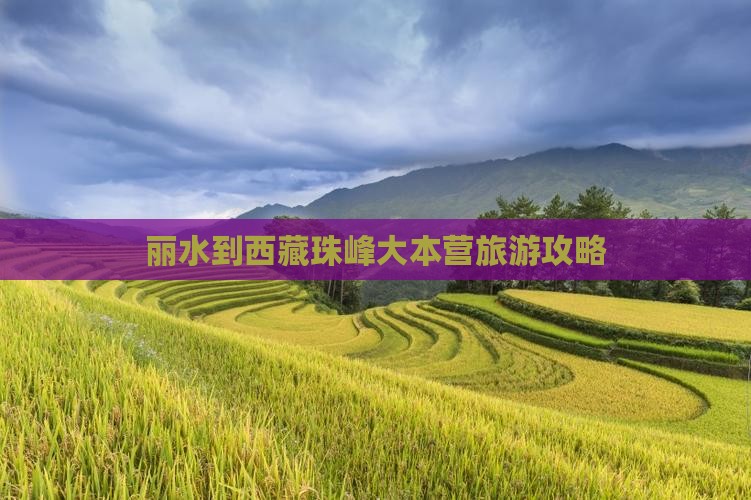 丽水去西藏珠峰大本营一日
