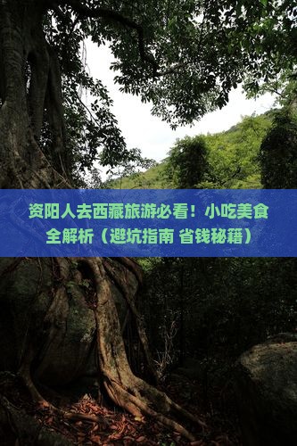 资阳到西藏旅游小吃