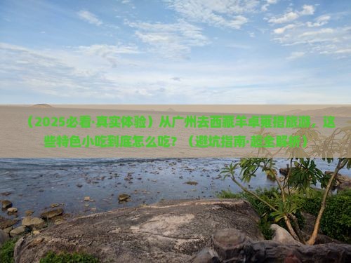 广州到西藏羊卓雍措旅游小吃