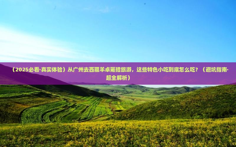 广州到西藏羊卓雍措旅游小吃