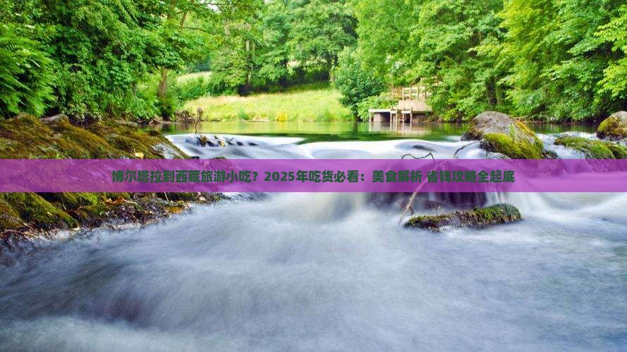 博尔塔拉到西藏旅游小吃