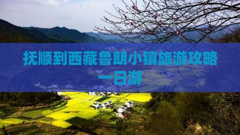 抚顺去西藏鲁朗小镇一日